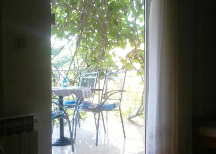 Guest house Elite 3*